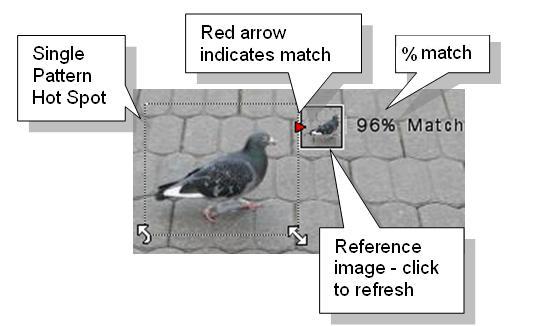 Single Pattern Spot