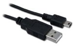 USB connections for webcams